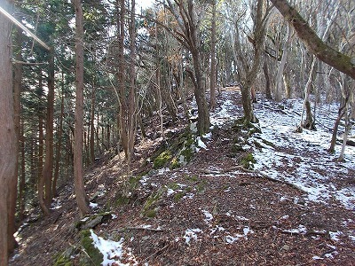 f0308898_20544669.jpg