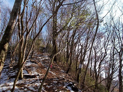 f0308898_20545778.jpg