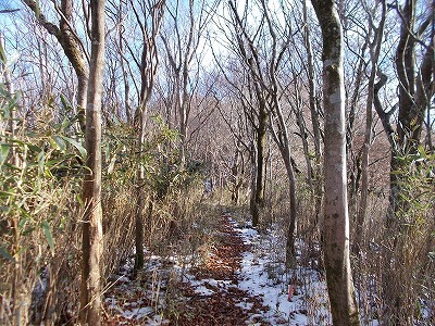 f0308898_20555445.jpg