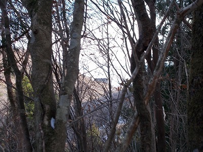 f0308898_20562900.jpg