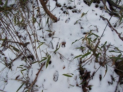 f0308898_20581435.jpg