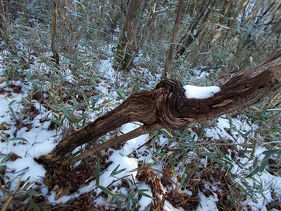 f0308898_20590157.jpg