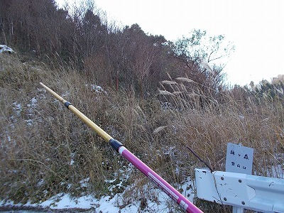 f0308898_20595869.jpg