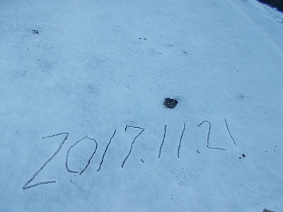 f0308898_21003125.jpg