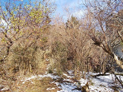f0308898_21053833.jpg
