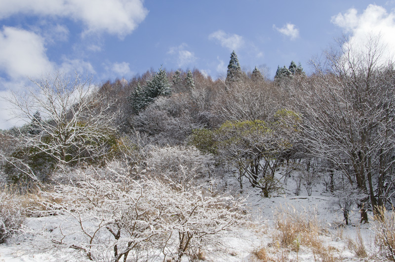 １１月２１日　積雪_d0143700_22172804.jpg