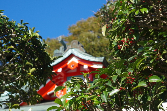 b0356401_19565226.jpg