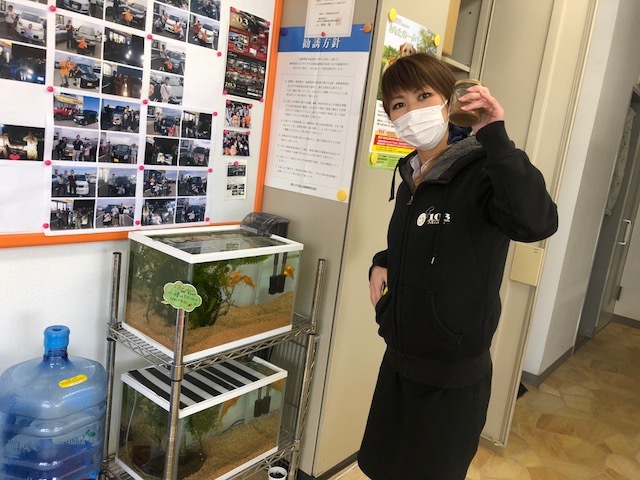 11月22日(水)☆TOMMYアウトレット☆あゆブログ(*´∀‘) キューブY様納車☆ タントF様ご成約♪_b0127002_16263317.jpg