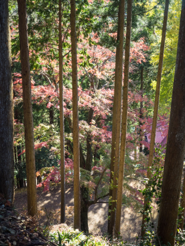 名栗湖--鳥居観音--高山不動尊_a0320805_14462753.jpg