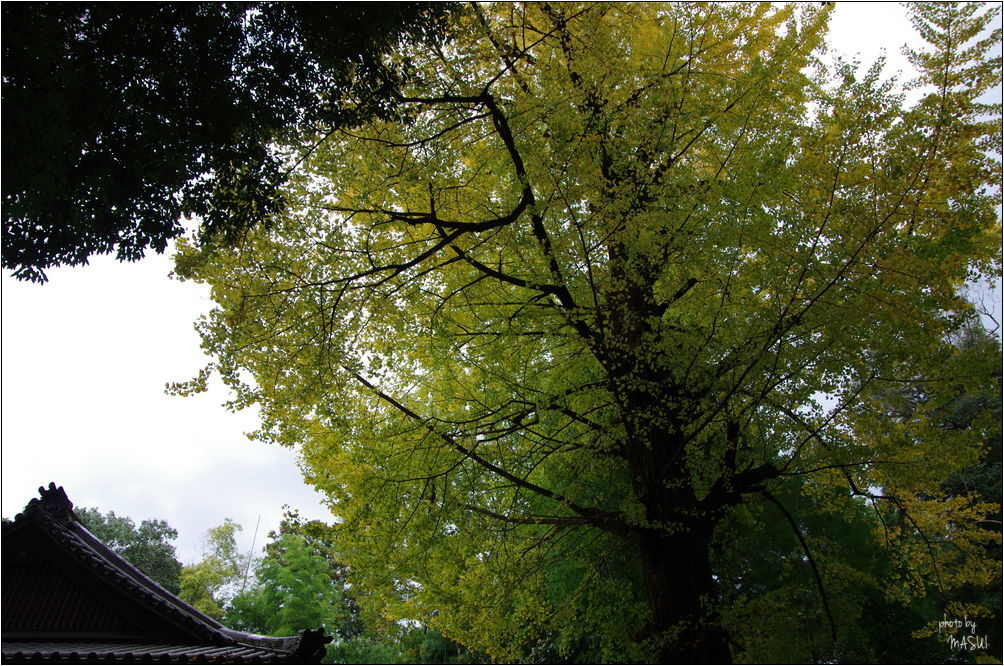 d0342307_22264866.jpg