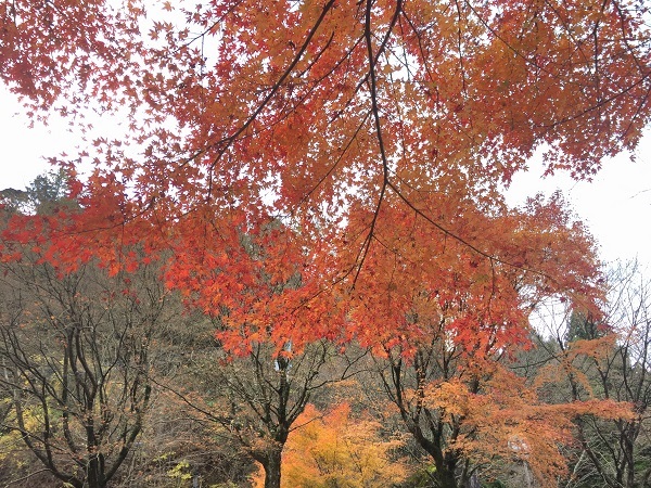 f0364707_22330178.jpg
