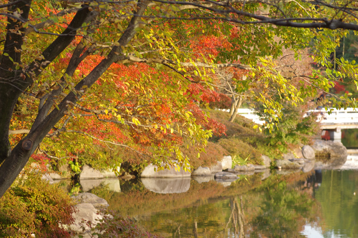 昭和記念公園　紅葉　５_b0151409_21132260.jpg