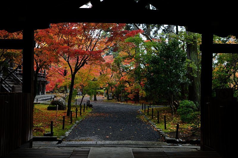 f0032011_19582002.jpg