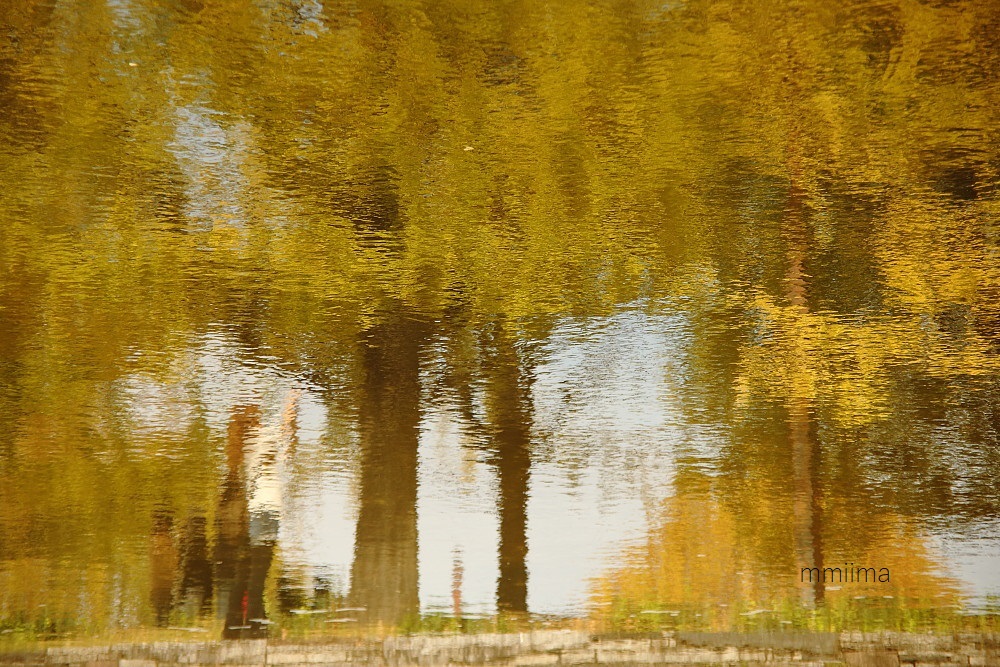 f0131611_08020787.jpg