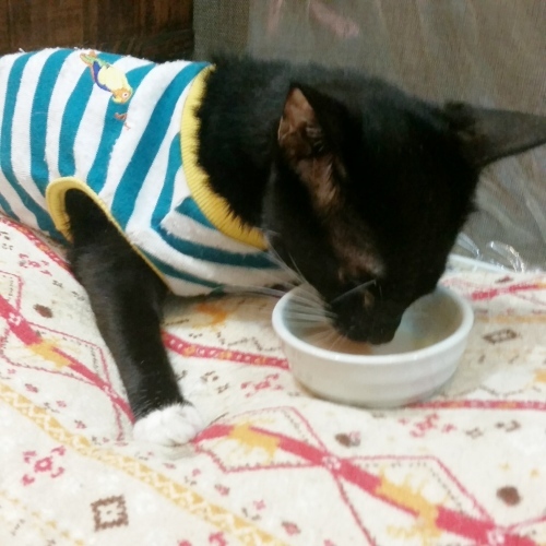 e0144012_14574728.jpeg