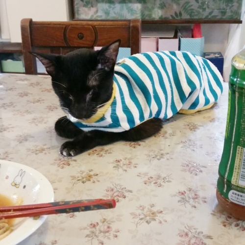 e0144012_15044308.jpeg