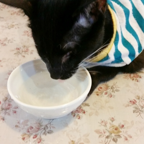 e0144012_15114394.jpeg