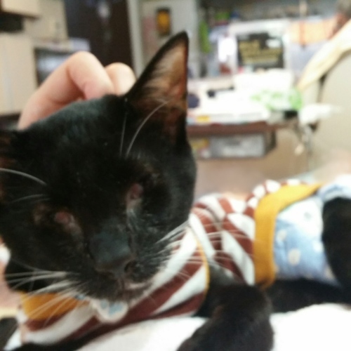 e0144012_15141596.jpeg