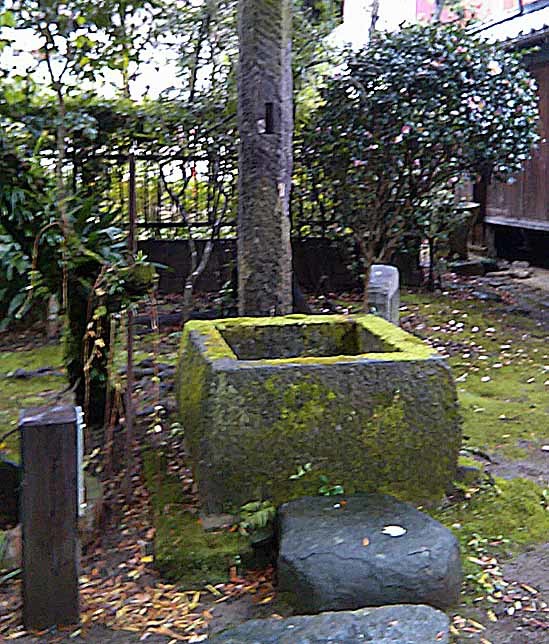 c0009413_11540381.jpg