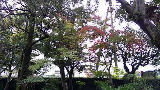 c0009413_11542977.jpg