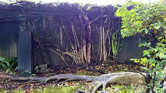c0009413_11551056.jpg