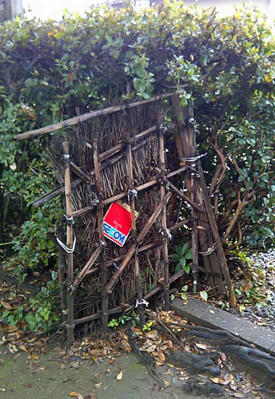 c0009413_11555274.jpg