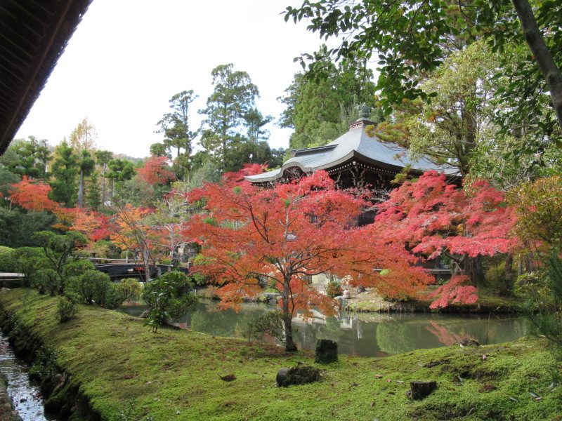 嵯峨　清凉寺_e0048413_18261748.jpg