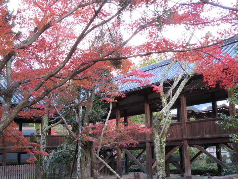 嵯峨　清凉寺_e0048413_18280602.jpg