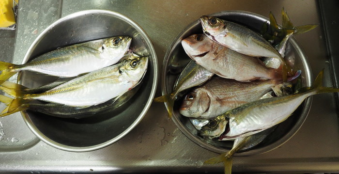 夫の釣果とその後_c0116915_23521340.jpg