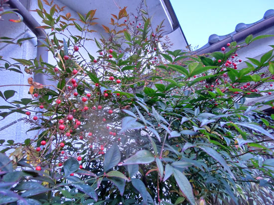 d0066822_14591880.jpg
