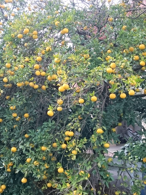 c0189724_18294325.jpg