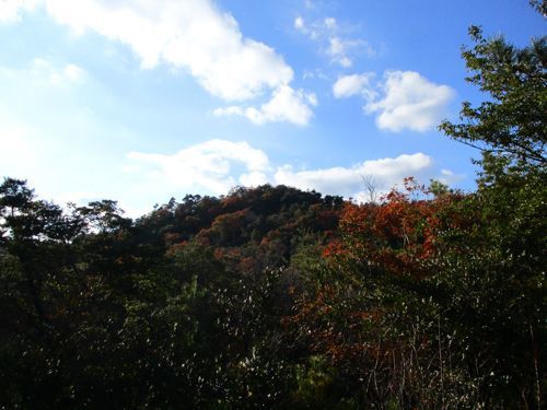f0158625_11194030.jpg