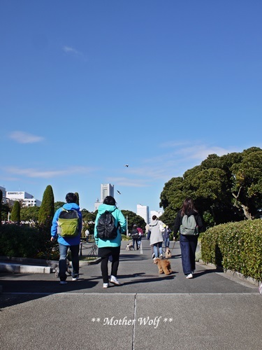 第23回マザーウルフ遠足 横浜レポート_e0191026_23471458.jpg