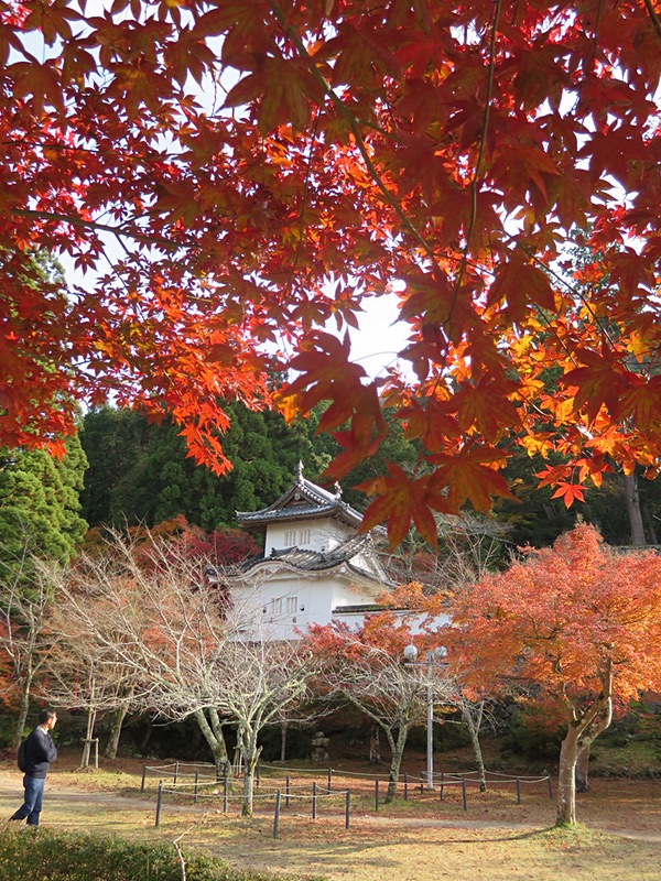 城下町「出石」の晩秋・・・ ㈠_d0352628_116166.jpg