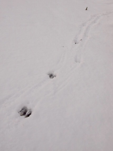 a0329935_07465268.jpeg
