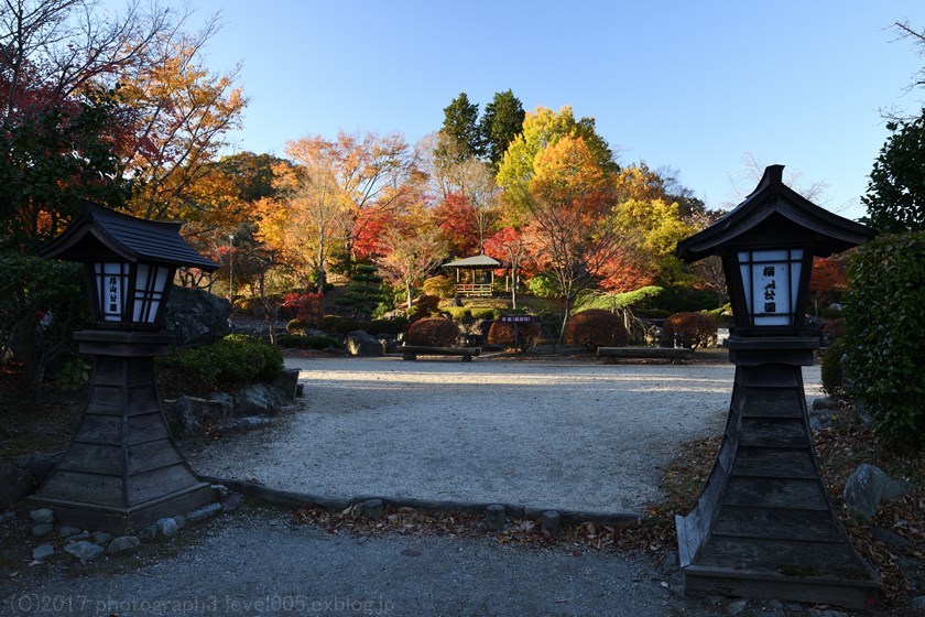 桜山公園 2 日本庭園 紅葉_e0362037_20573777.jpg