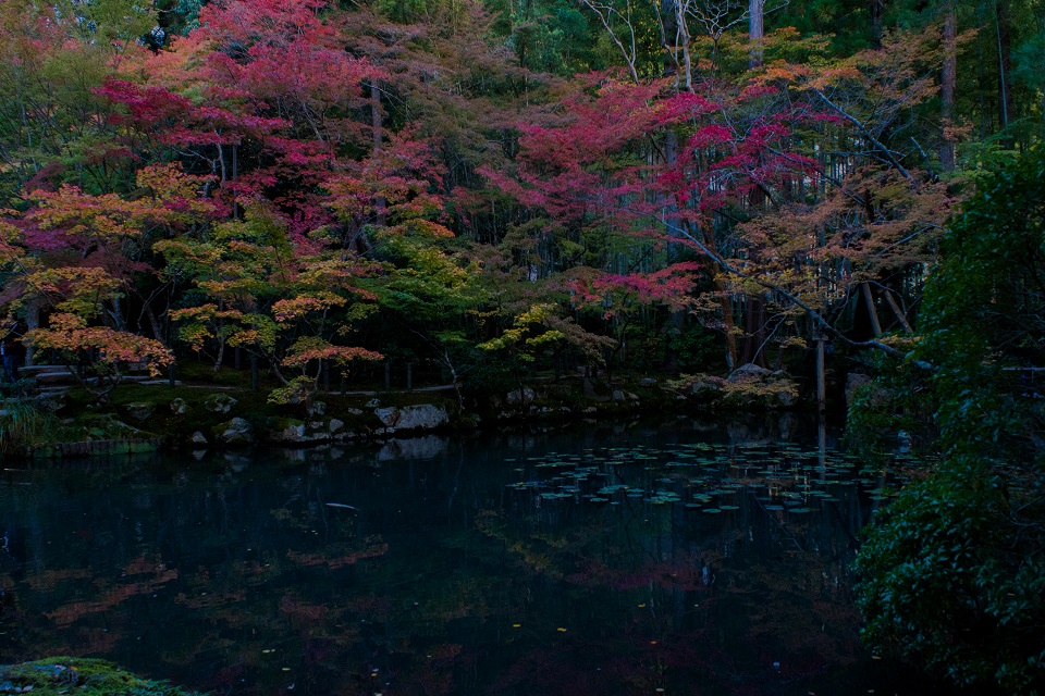 ２０１７京都紅葉～天寿庵_e0363038_15415964.jpg