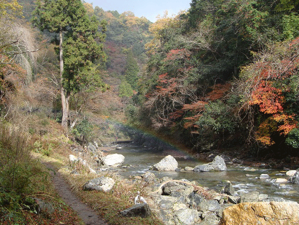 ★ 紅葉ハイキング “ 京都 高雄 ～嵐山 ” ：１１月１９日（日） _e0371039_1571972.gif