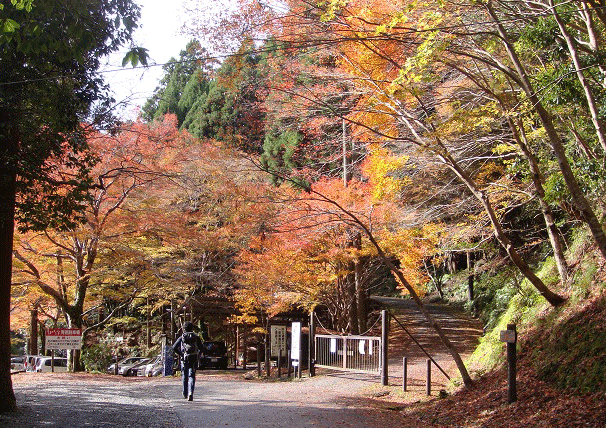 ★ 紅葉ハイキング “ 京都 高雄 ～嵐山 ” ：１１月１９日（日） _e0371039_1573561.gif