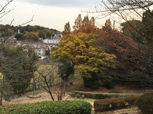 b0330040_23392941.jpeg