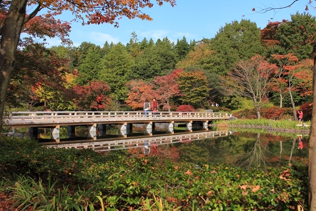 紅葉狩り＠昭和記念公園　2017.11.04_d0132743_13312520.jpg