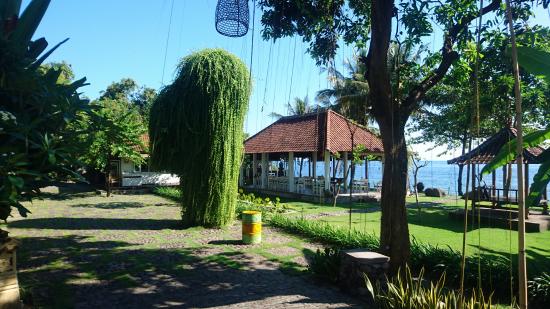 Villa Mojitoと Warung Pesisi @ Air Sanih, Buleleng (\'17年5月)_d0368045_2358276.jpg