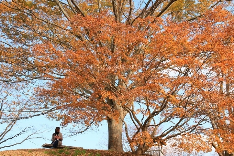 c0145250_09515685.jpg
