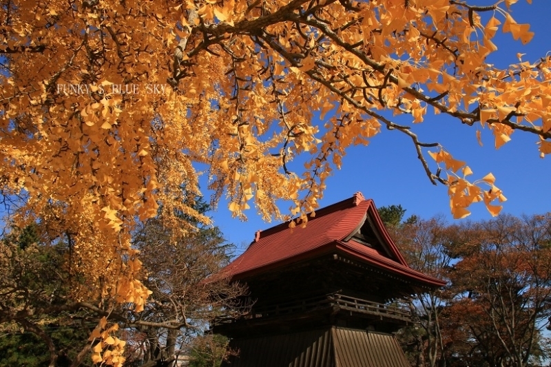c0145250_09521106.jpg
