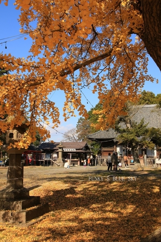 c0145250_09525263.jpg