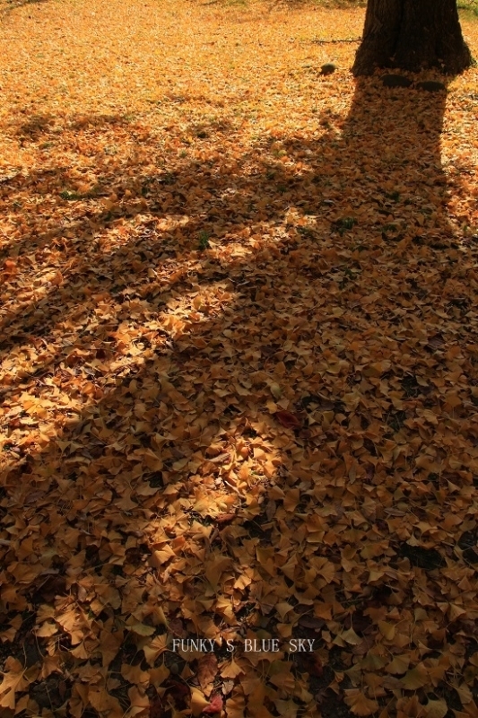 c0145250_09530137.jpg