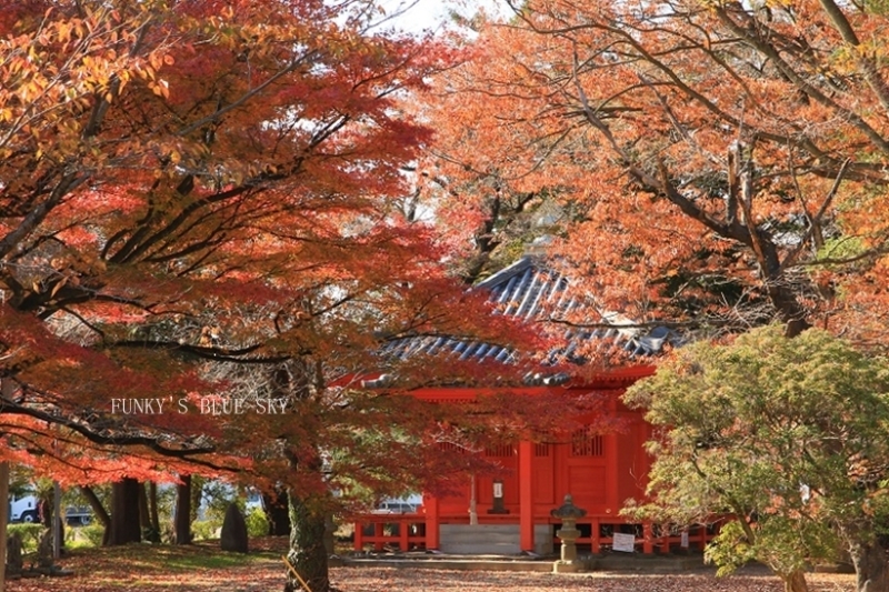 c0145250_09533094.jpg