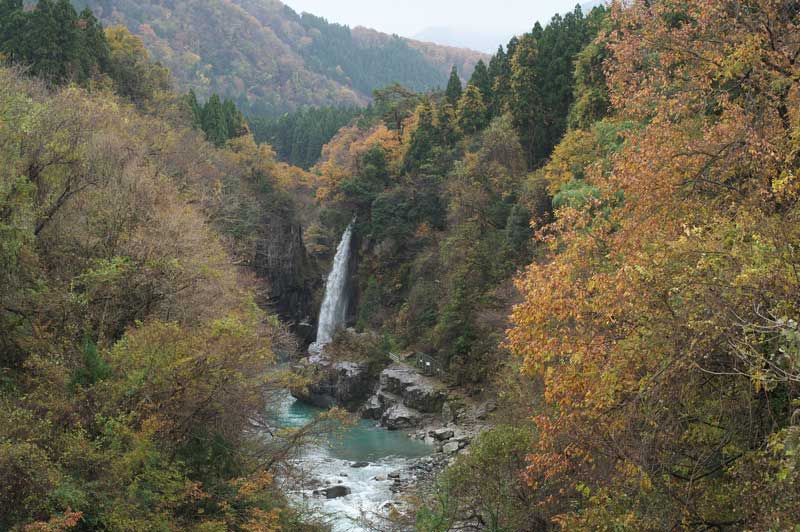 d0342652_16433112.jpg