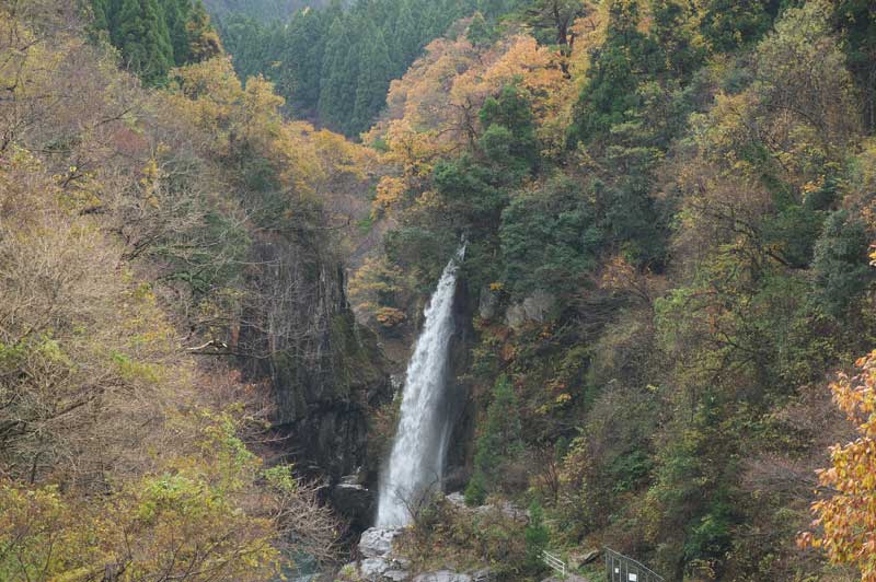 d0342652_16441583.jpg