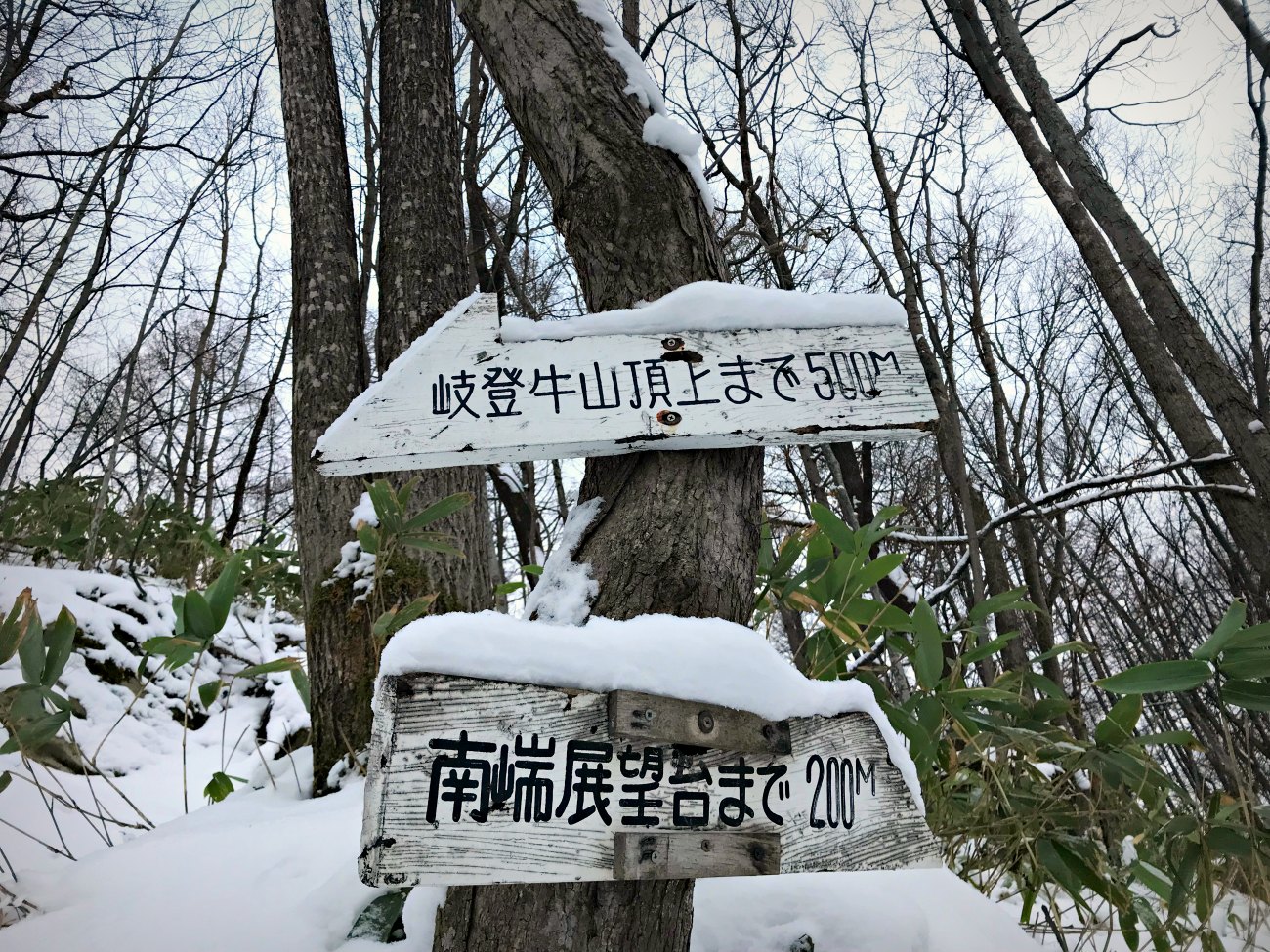 ☆2017.11.21 岐登牛山〜カフェドロマン_e0105954_14343142.jpg